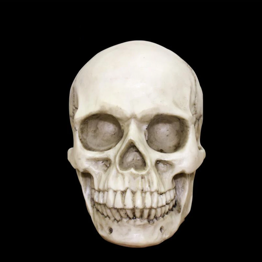 1:1 Resin Skull Sculpture Education Painting dedicated Medical Model Realistic Lifesize Home Accessories Hallowen Decor 600gE
1:1 Resin Skull Sculpture Education Painting dedicated Medical Model Realistic Lifesize Home Accessories Hallowen Decor 600gE