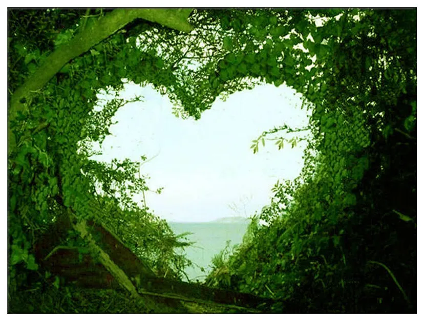 Heart Shape Love trees 5D DIY Diamond Painting Cross Stitch Of Diamonds Embroidery Mosaic 40*50cm For Living Bed Room Decor
Heart Shape Love trees 5D DIY Diamond Painting Cross Stitch Of Diamonds Embroidery Mosaic 40*50cm For Living Bed Room Decor