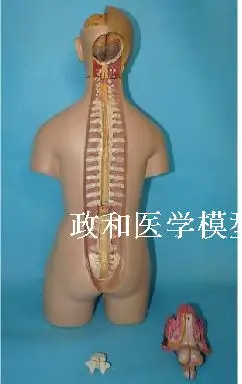 http://gd2.alicdn.com/imgextra/i2/687093950/TB2zxruaXXXXXXeXpXXXXXXXXXX_!!687093950.jpg