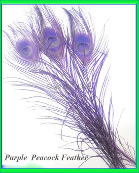 100pcs 10-12inch Purple peacock feather natural peacock plumes for wedding /party decoration peacock costume/headdress
100pcs 10-12inch Purple peacock feather natural peacock plumes for wedding /party decoration peacock costume/headdress