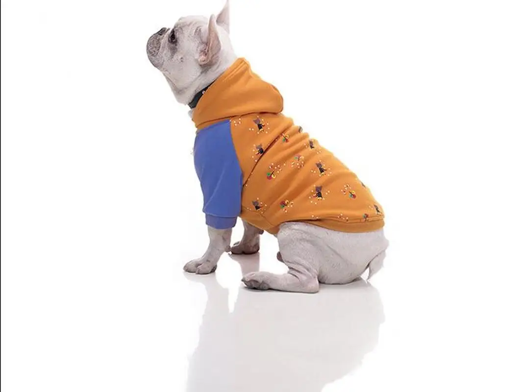 Dog clothes winter pet clothes puppies fighting small dogs autumn and winter clothes autumn clothes plus velvet
Dog clothes winter pet clothes puppies fighting small dogs autumn and winter clothes autumn clothes plus velvet