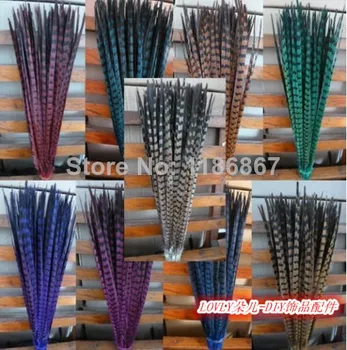 EMS Free Shipping 200pcs/lot ringneck pheasant Feather dyed pheasant tail feather 50-55cm 20-22 inches lady pheasant tail
EMS Free Shipping 200pcs/lot ringneck pheasant Feather dyed pheasant tail feather 50-55cm 20-22 inches lady pheasant tail