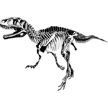 Animals Dinosaur Skeleton Wall Stickers Child Wallpaper Adhesive Decoration Bedroom Baby
Animals Dinosaur Skeleton Wall Stickers Child Wallpaper Adhesive Decoration Bedroom Baby