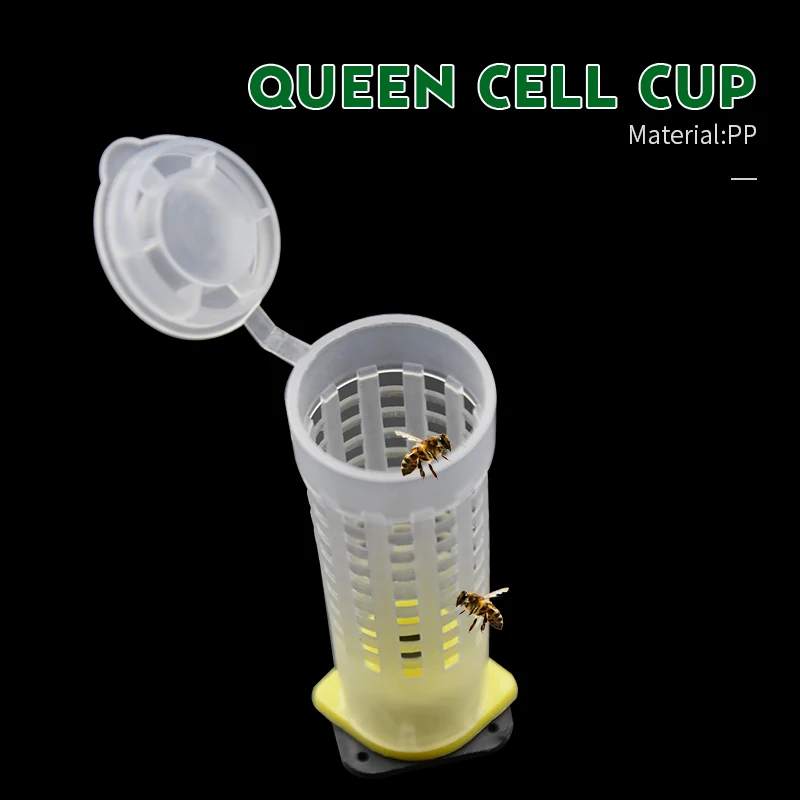 Brand 10pcs Lightweight Plastic Queen Cell Cup Beekeeping Tools cages bee plastic plastic mugs beekeeper tools equipment
Brand 10pcs Lightweight Plastic Queen Cell Cup Beekeeping Tools cages bee plastic plastic mugs beekeeper tools equipment