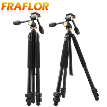 Q470 Aluminum Camera 10kg Load Tripod With 3-dimensional Head Video Recorder For DSLR Digital Video Tripods Stand Accessoriess
Q470 Aluminum Camera 10kg Load Tripod With 3-dimensional Head Video Recorder For DSLR Digital Video Tripods Stand Accessoriess