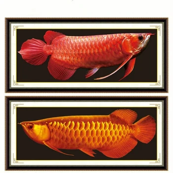110x45CM Arowana Partical Round Diamond Painting with New Silk Cloth Soft Canvas AB Drills 5D DIY Home Decoration
110x45CM Arowana Partical Round Diamond Painting with New Silk Cloth Soft Canvas AB Drills 5D DIY Home Decoration
