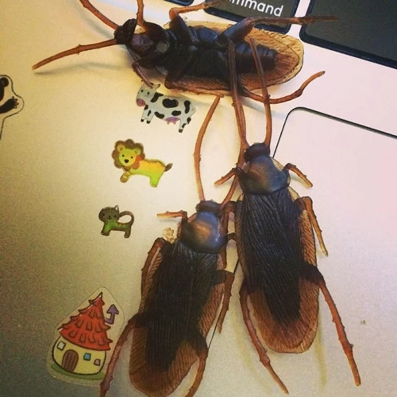 10Pcs Fake Cockroaches