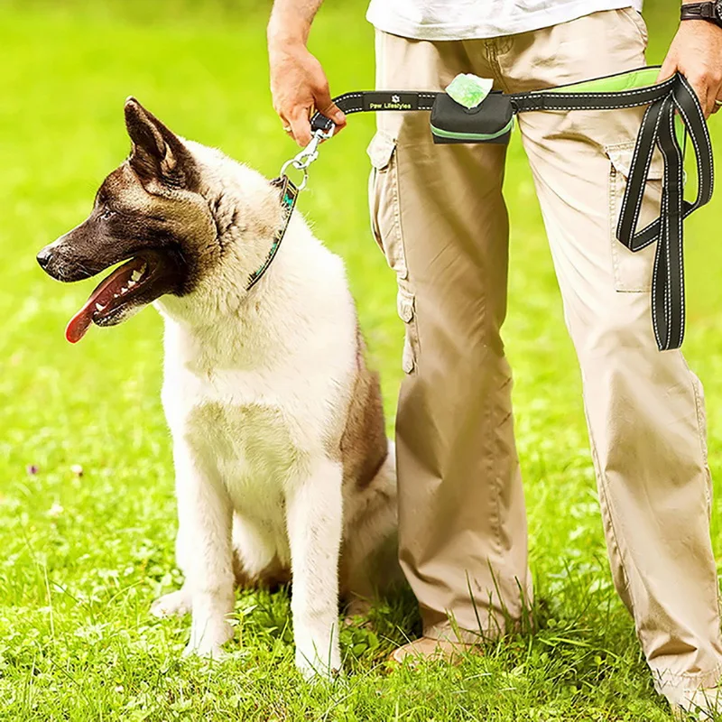 Dog Leash Pet Training Pouch Walking Leash Waterproof Bag Chihuahua Waste Holder Carrier for Treats Bag Poopbag Harness Collar
Dog Leash Pet Training Pouch Walking Leash Waterproof Bag Chihuahua Waste Holder Carrier for Treats Bag Poopbag Harness Collar