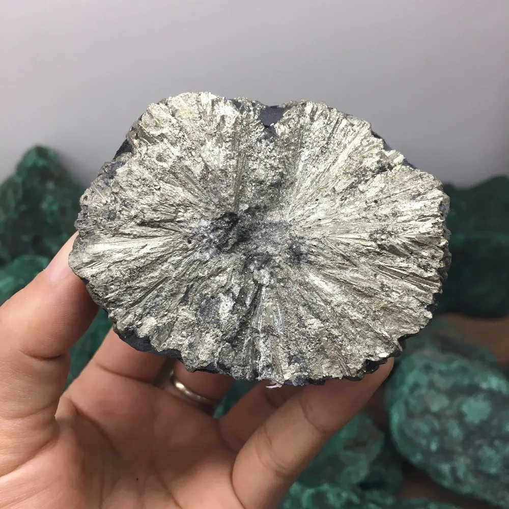 Beautiful sunflower natural stones and minerals iron pyrite raw gemstone specimen energy stone rough rock for home decor
Beautiful sunflower natural stones and minerals iron pyrite raw gemstone specimen energy stone rough rock for home decor
