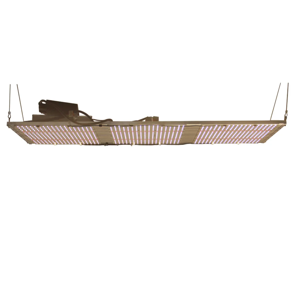 Led samsung lm301b mix red 660nm 320w quantum board led grow light diy with meanwell driver for medical plants
Led samsung lm301b mix red 660nm 320w quantum board led grow light diy with meanwell driver for medical plants