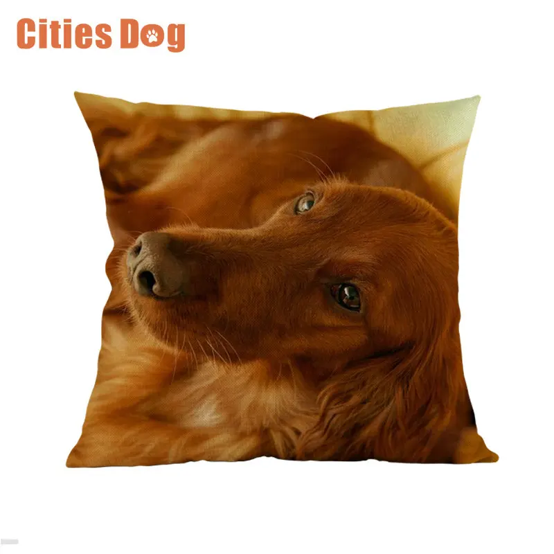 Animal dog Cushion Cover Pillowcase High temperature printing does not fade Irish Setter Dogs Pillow Throw decor Pillow Cover
Animal dog Cushion Cover Pillowcase High temperature printing does not fade Irish Setter Dogs Pillow Throw decor Pillow Cover
