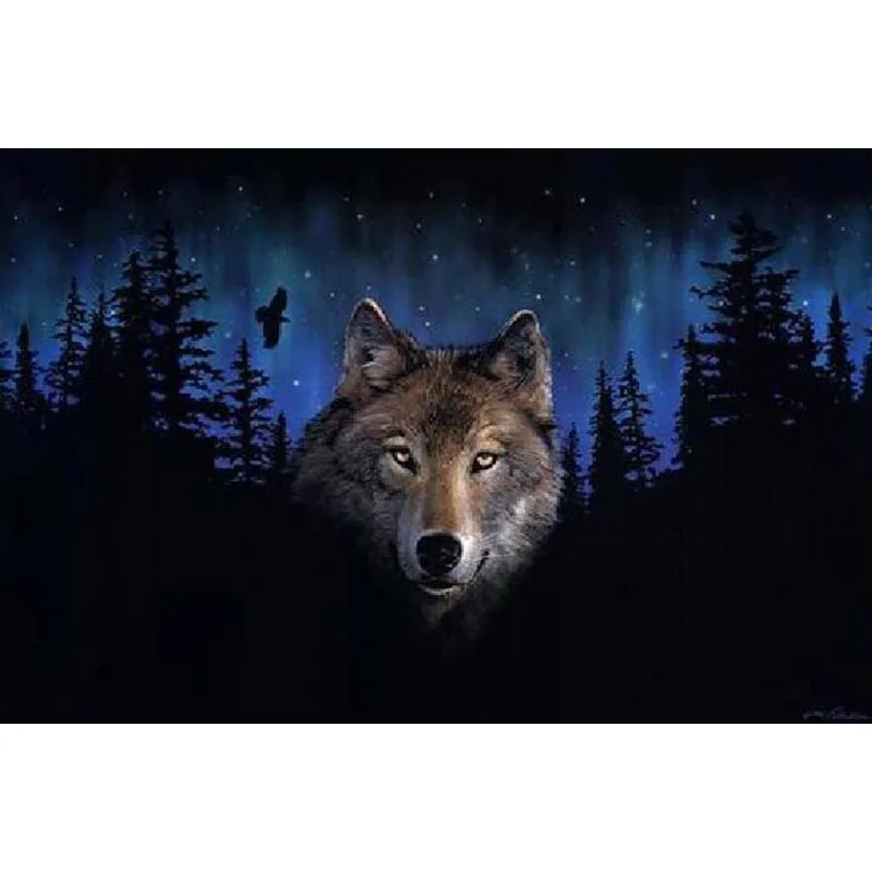 Painting By Numbers DIY Dropshipping 40x50 50x65cm Birthday Night Wolf Animal Canvas Wedding Decoration Art picture Gift
Painting By Numbers DIY Dropshipping 40x50 50x65cm Birthday Night Wolf Animal Canvas Wedding Decoration Art picture Gift