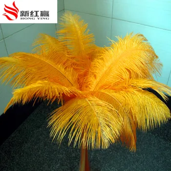10pcs orange from 16 to 18 inches / 40-50 individual electrical brain ostrich feathers wholesale nature decorative feather
10pcs orange from 16 to 18 inches / 40-50 individual electrical brain ostrich feathers wholesale nature decorative feather
