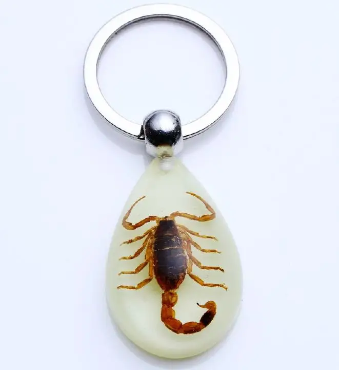 free shipping yqtdmy 12 pcs beauty gold scorpion charming keychain glow drop jewelry
free shipping yqtdmy 12 pcs beauty gold scorpion charming keychain glow drop jewelry