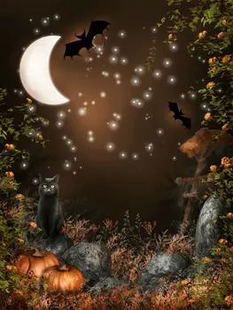 LIFE MAGIC BOX Moon Pumpkin 150x200cm Custom Photo Backdrops Backdrop Synonym Thanksgiving Photo Backdrops WSJ-016
LIFE MAGIC BOX Moon Pumpkin 150x200cm Custom Photo Backdrops Backdrop Synonym Thanksgiving Photo Backdrops WSJ-016