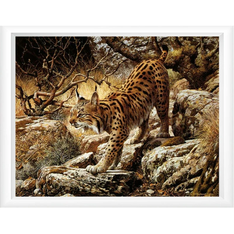 Diy Full Drill Round Diamond Painting,lynx,C,Mosaic Rhinestone Painting Diamond Embroidery Neeldlework Crafts
Diy Full Drill Round Diamond Painting,lynx,C,Mosaic Rhinestone Painting Diamond Embroidery Neeldlework Crafts