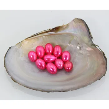 20pcs/lot 7-8MM No Hole Colorful Pearl Pink Loose Pearls Beads For Jewelry Making DIY Fit Necklace Earrings LO022
20pcs/lot 7-8MM No Hole Colorful Pearl Pink Loose Pearls Beads For Jewelry Making DIY Fit Necklace Earrings LO022
