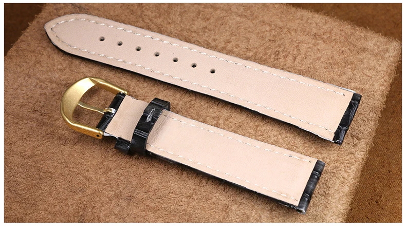 3146841066_1417998351