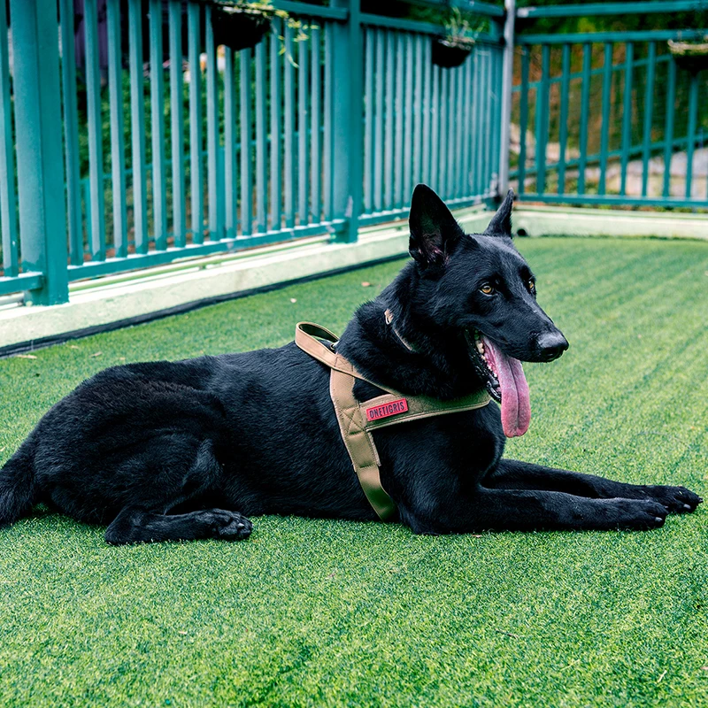 OneTigris Tactical Nylon Dog Training Vest & Heavy Duty Handle for Walking Hiking Hunting Training Harness for Service Dog
OneTigris Tactical Nylon Dog Training Vest & Heavy Duty Handle for Walking Hiking Hunting Training Harness for Service Dog