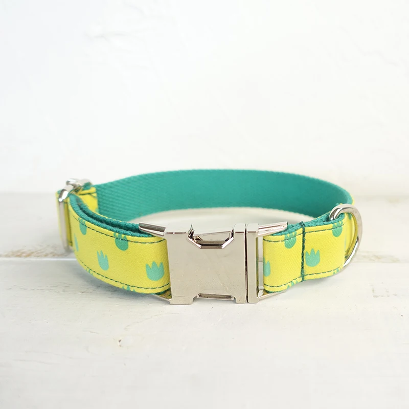 Pet Dog Collars (7)