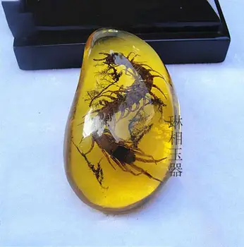 Burma amber amber insect pendant wax insect snake standard Amber Pendant Fashion all-match creative new
Burma amber amber insect pendant wax insect snake standard Amber Pendant Fashion all-match creative new