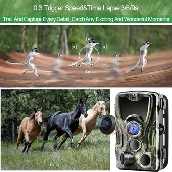 Hc801A Hunting Camera 16Mp Trail Camera Night-Vision Forest Waterproof Wildlife Camera Photo Traps Camera Chasse Scouts
Hc801A Hunting Camera 16Mp Trail Camera Night-Vision Forest Waterproof Wildlife Camera Photo Traps Camera Chasse Scouts