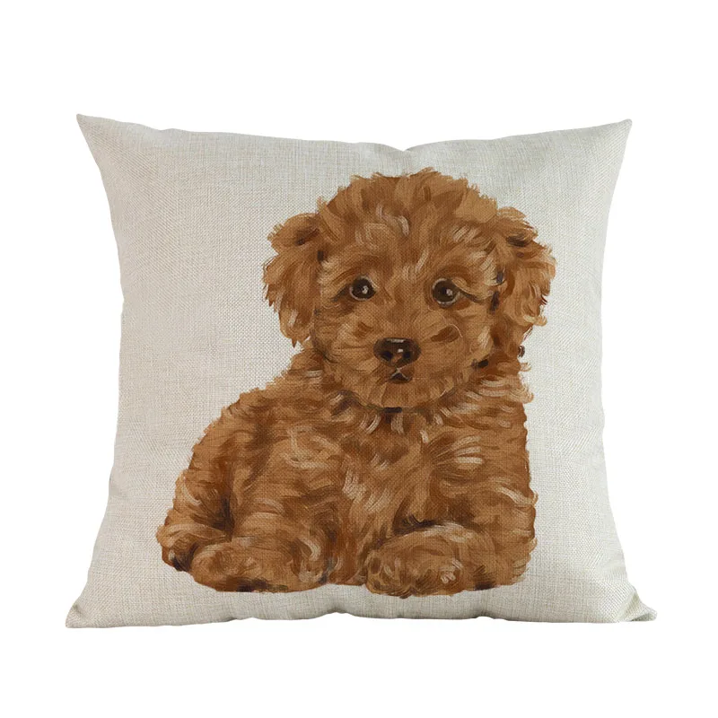 poodle