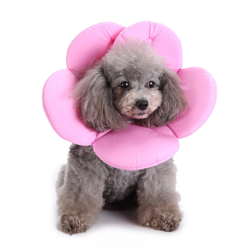 Pink Flower Design Dog collar Easy to Wipe & Clean - with Adjustable Strap Enclosures for Dogs & Cats MQ-YLSB05
Pink Flower Design Dog collar Easy to Wipe & Clean - with Adjustable Strap Enclosures for Dogs & Cats MQ-YLSB05