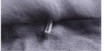 HTB1fgUdSFXXXXcSapXXq6xXFXXXH