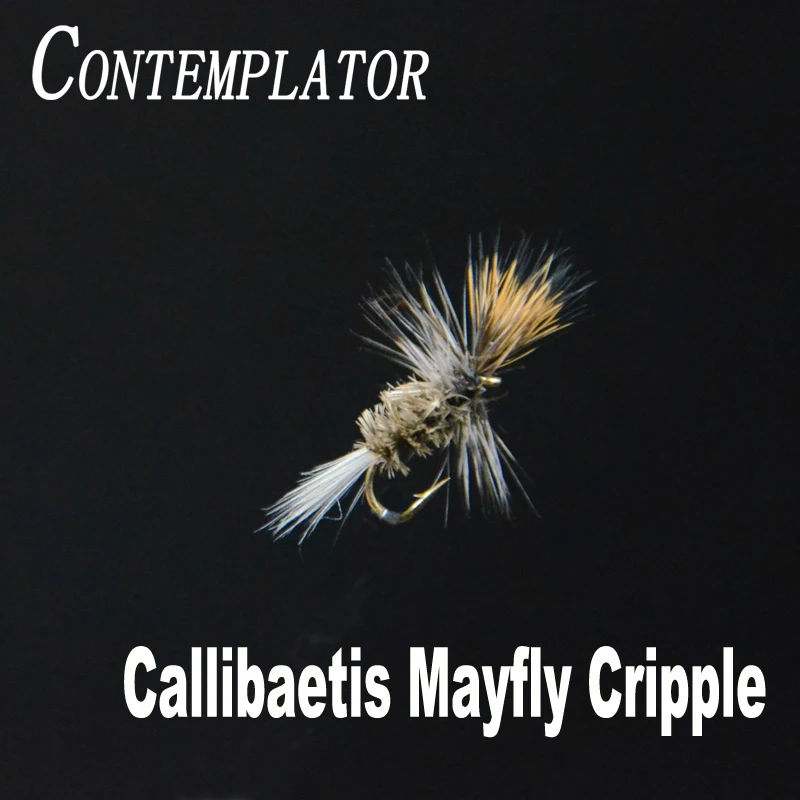 CONTEMPLATOR 5pcs/box 16# Callibaetis Mayfly Cripple emerging mayflies dry fly lures artificial fly fishing false flies bait
CONTEMPLATOR 5pcs/box 16# Callibaetis Mayfly Cripple emerging mayflies dry fly lures artificial fly fishing false flies bait
