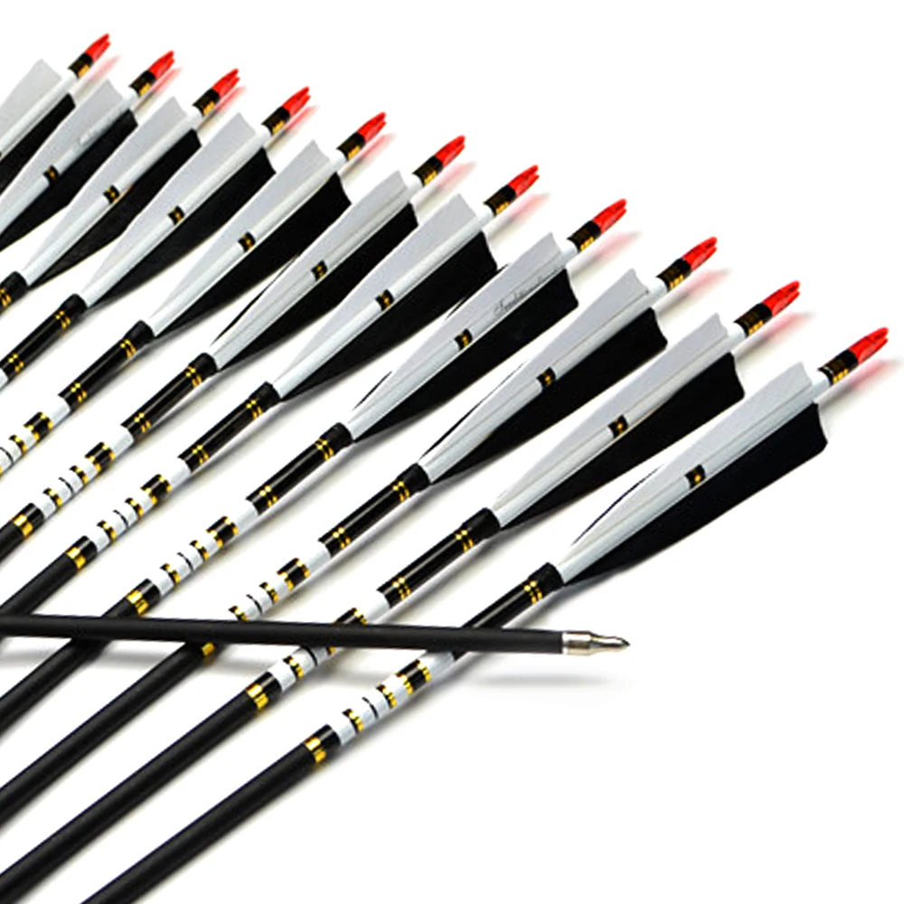 AF 12Pcs 31" Spine 500 Archery Carbon Arrow Turkey Feather For Shooting Arrows Archery Recurve Bow arrows archery
AF 12Pcs 31" Spine 500 Archery Carbon Arrow Turkey Feather For Shooting Arrows Archery Recurve Bow arrows archery