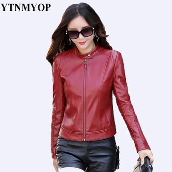 YTNMYOP 2020 New Slim Women Leather Jacket Casual Basic Leather Coat Simple Short O-Neck Zipper Female Leather Clothing
YTNMYOP 2020 New Slim Women Leather Jacket Casual Basic Leather Coat Simple Short O-Neck Zipper Female Leather Clothing