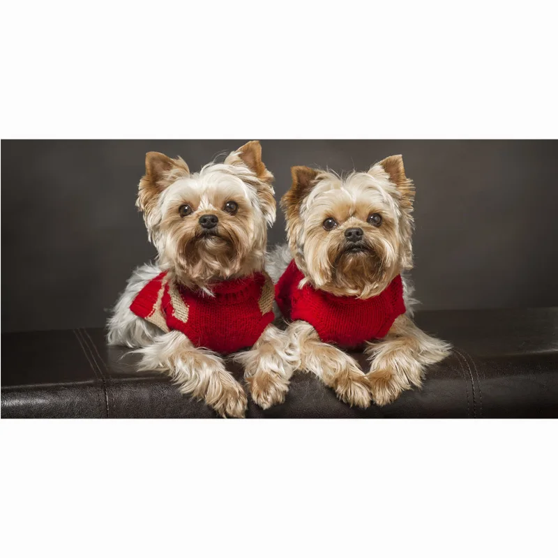 Super Soft Yorkshire Terrier printed bamboo fiber bath towel for children toalla playa kids beach towel 70*140cm
Super Soft Yorkshire Terrier printed bamboo fiber bath towel for children toalla playa kids beach towel 70*140cm