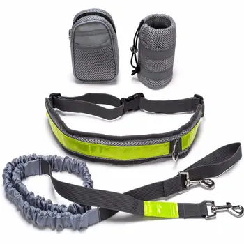 Sport Elastic Pet Dog Leash Training Set Nylon Hands Free Waist Belt Running Leash For Large Dog Jogging Lead Reflective Strip
Sport Elastic Pet Dog Leash Training Set Nylon Hands Free Waist Belt Running Leash For Large Dog Jogging Lead Reflective Strip
