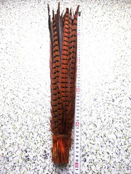 2015 Hot! Orange 50pcs / lot natural Pheasants feathers, 18-20 "/ 45-50cm DIY jewelry, art performances props Accessories
2015 Hot! Orange 50pcs / lot natural Pheasants feathers, 18-20 "/ 45-50cm DIY jewelry, art performances props Accessories