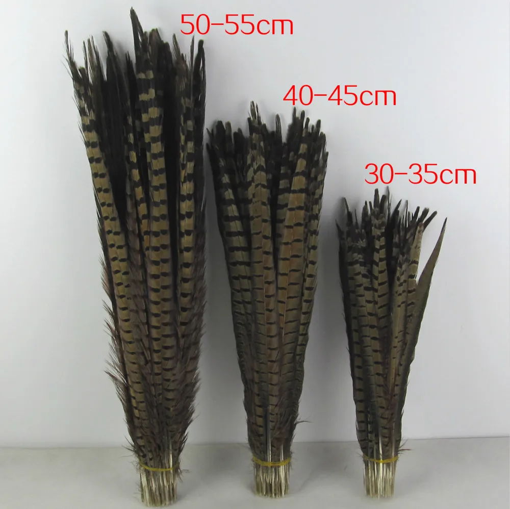 5pcs Feather diy jewelry accessories male tail wild pheasant has long feathers Stage performance drama decoration material AC089
5pcs Feather diy jewelry accessories male tail wild pheasant has long feathers Stage performance drama decoration material AC089