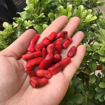 Natural Crystal Gravel Red coral Tumbled Stone Healing Feng shui Reiki Healing Fish Tank Stone
Natural Crystal Gravel Red coral Tumbled Stone Healing Feng shui Reiki Healing Fish Tank Stone