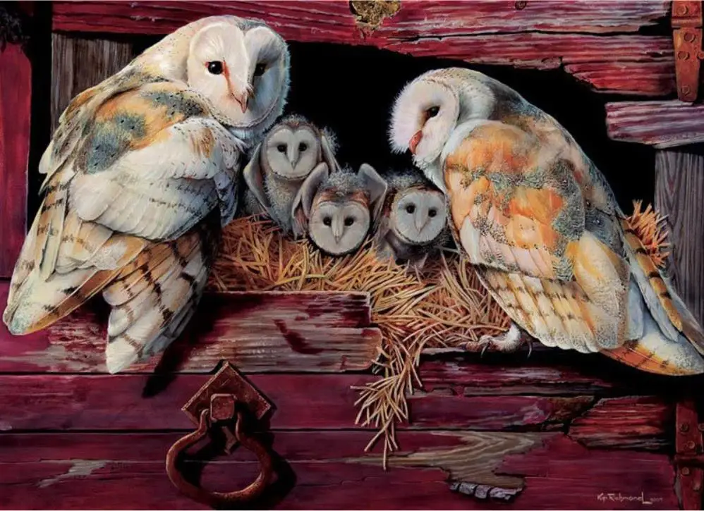 DIY 3D Diamond mosaic Full Round Diamond painting Cross stitch Owl family Full Square Diamond embroidery
DIY 3D Diamond mosaic Full Round Diamond painting Cross stitch Owl family Full Square Diamond embroidery