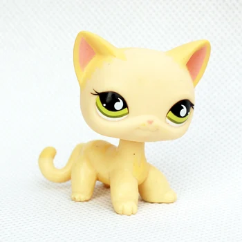 Rare animal pet shop cute toys #733 old original short hair cat yellow standing cute toys for children
Rare animal pet shop cute toys #733 old original short hair cat yellow standing cute toys for children