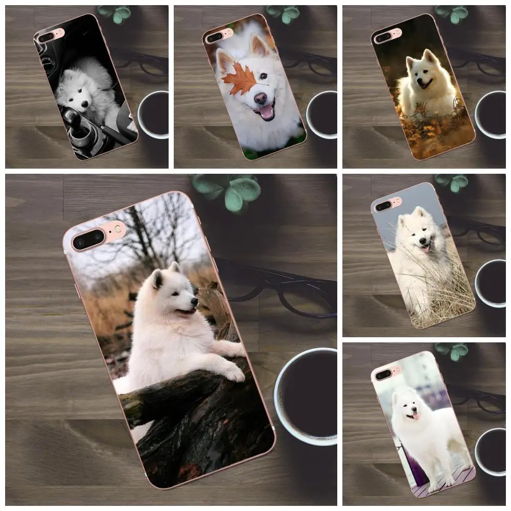 For Apple iPhone 4 4S 5 5C SE 6 6S 7 8 Plus X Galaxy A3 A5 J1 J2 J3 J5 J7 2017 Soft TPU Phone Coque Cute White Samoyed Style
For Apple iPhone 4 4S 5 5C SE 6 6S 7 8 Plus X Galaxy A3 A5 J1 J2 J3 J5 J7 2017 Soft TPU Phone Coque Cute White Samoyed Style