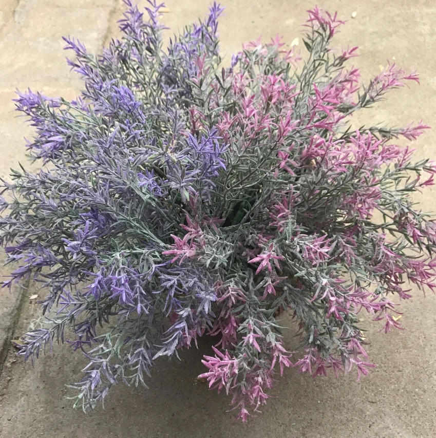Artificial plastic grass outdoor landscape decoration grass 9 fork lavender plant wall
Artificial plastic grass outdoor landscape decoration grass 9 fork lavender plant wall