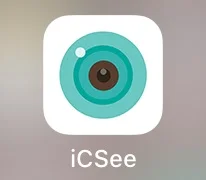 icsee