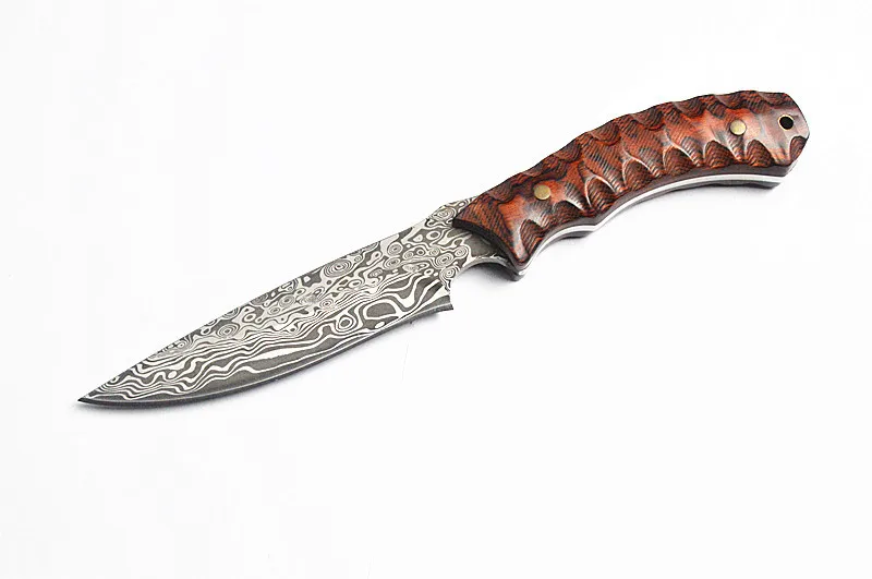 4381384031_1611285389