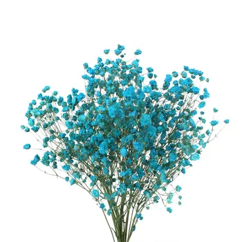 7 Colors real touch flowers for wedding bridal bouquet natural dried babies breath flowers bouquets
7 Colors real touch flowers for wedding bridal bouquet natural dried babies breath flowers bouquets