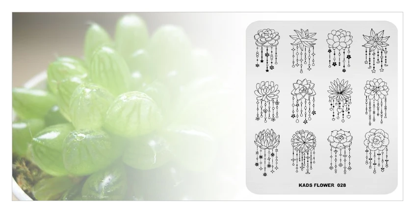 KADS-FLOWER-028_05