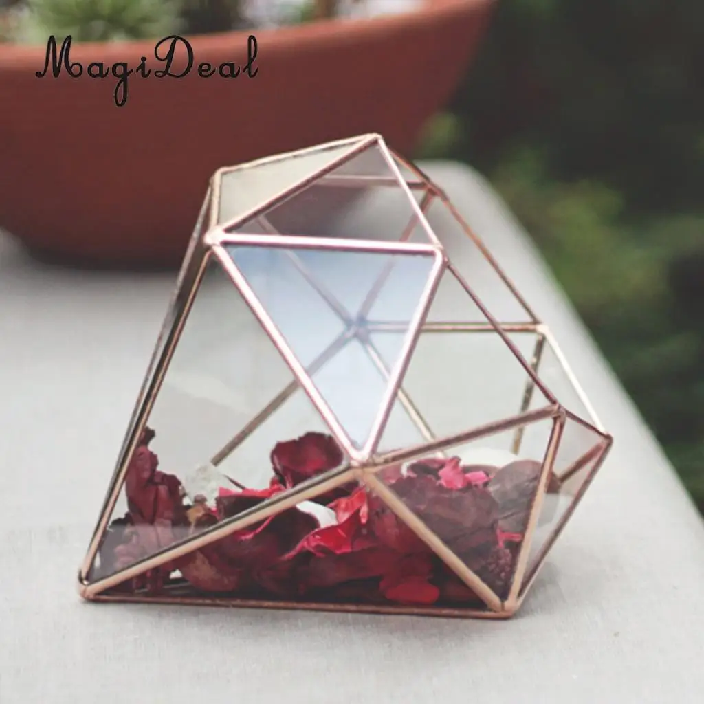 MagiDeal Diamond Shape Flower Pot Storage Box for Home Decoration Glass Vase Geometric Terrarium Tabletop Succulent Air Planter
MagiDeal Diamond Shape Flower Pot Storage Box for Home Decoration Glass Vase Geometric Terrarium Tabletop Succulent Air Planter