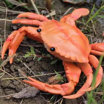 Simulation Lobster Crab Model PVC Photography Early Teaching Toys The Best Gift for Children Crayfish Big Crab Fake Hairy Crab
Simulation Lobster Crab Model PVC Photography Early Teaching Toys The Best Gift for Children Crayfish Big Crab Fake Hairy Crab