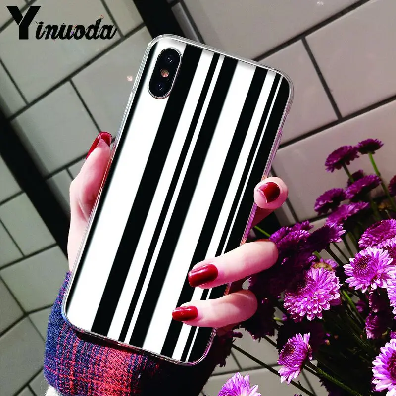 Animal Black white Zebra Stripe