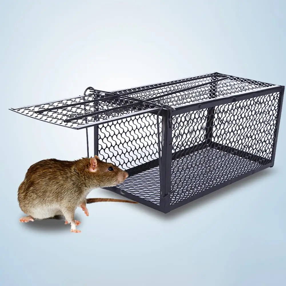 Indoor Outdoor Metal Reusable Humane Live Animal Rodent Rat Mouse Catcher Spring Cage Traps Non-toxic Rodent Pest Control Trap
Indoor Outdoor Metal Reusable Humane Live Animal Rodent Rat Mouse Catcher Spring Cage Traps Non-toxic Rodent Pest Control Trap