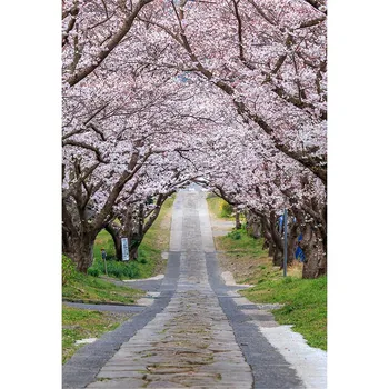 Spring Cherry Blossoms Garden Backgrounds for Photo Studio Long Road Trees Kids Children Girls Wedding Photography Backdrops
Spring Cherry Blossoms Garden Backgrounds for Photo Studio Long Road Trees Kids Children Girls Wedding Photography Backdrops
